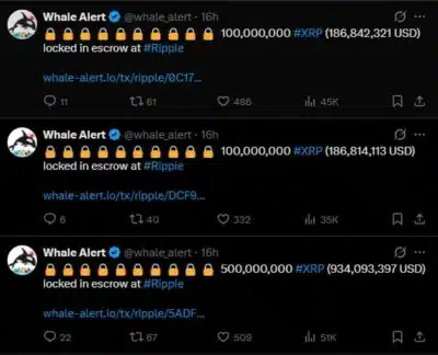 photo 5963236085758364433 x convert.io