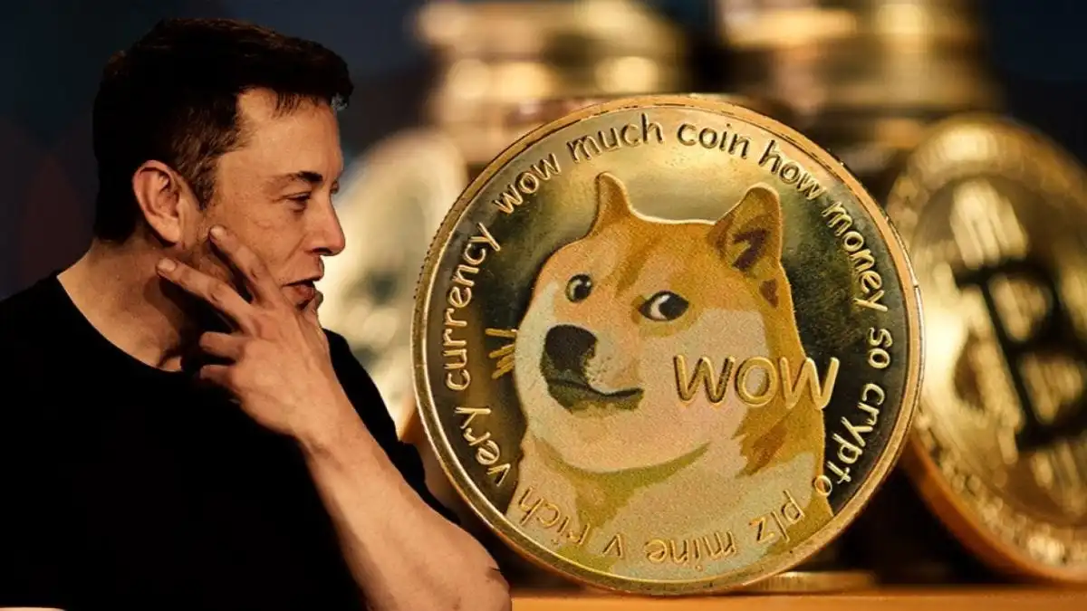 Dogecoin’s Price Crashes to Historic Low – Will Elon Musk’s Plans Save DOGE?