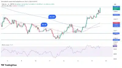 Shiba Inu’s Golden Cross Points to Short-Term Momentum Surge
