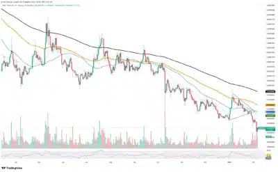 Shiba Inu’s Surprising Surge: Exchange Outflows Signal Major Shift in Market Trends!