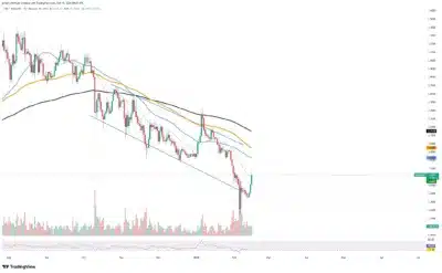 XRP’s Price Surge: Driven by Speculation or a Real Recovery? 1 xrp