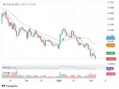 Dogecoin’s Price Crashes to Historic Low – Will Elon Musk’s Plans Save DOGE?