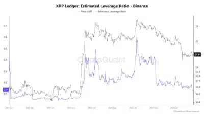 XRP Leverage Ratio Is Crashing Hard on Binance - What Does this Mean? 1 xrp