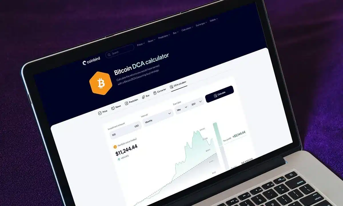 $100/Month in Bitcoin Since 2015 Would Have Turned $13,700 Into $632,000, Coinbird Analysis Shows