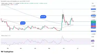 xlm