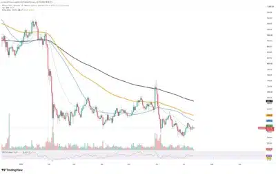 BNB Chain 