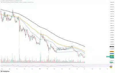 665 Billion SHIB Becomes Active as Whale Transfers Signal Rising Market Activity 1 shiba