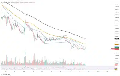 https://www.tradingview.com/symbols/SHIBUSDT/