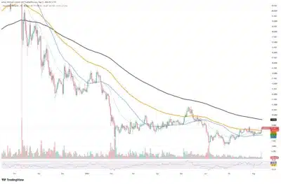 chainlink
