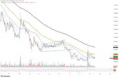 Shiba Inu Exchange Outflows Beat Inflows Despite 128% SHIB Activity Surge 1 shiba