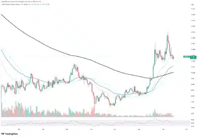 chainlink