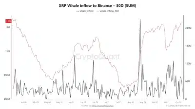 XRP Whale Inflows to Binance Reach Seven-Month High as 1.669 Billion Tokens Move to Exchange 1 xrp