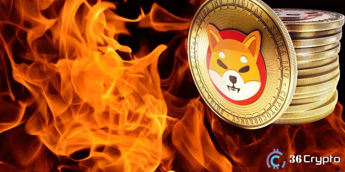 SHIB Burn Shock as 2,000,002 Tokens Vanish Yet Burn Rate Crashes 32%